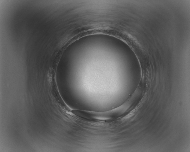 X0000072961257200607211148