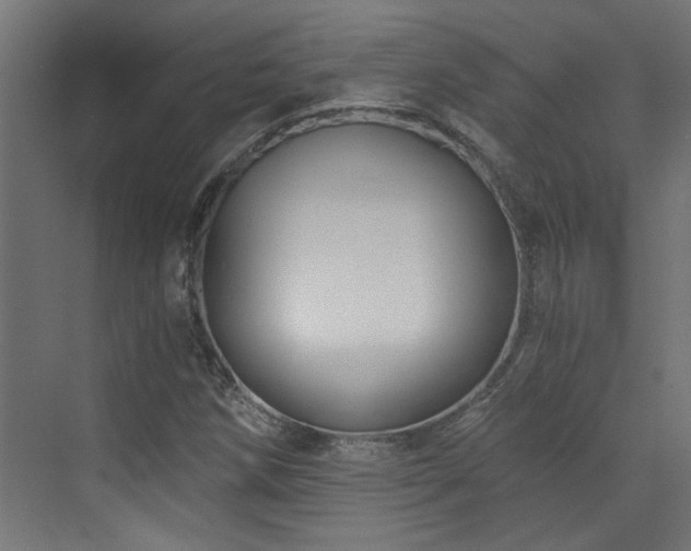 X0000072961258200607211148