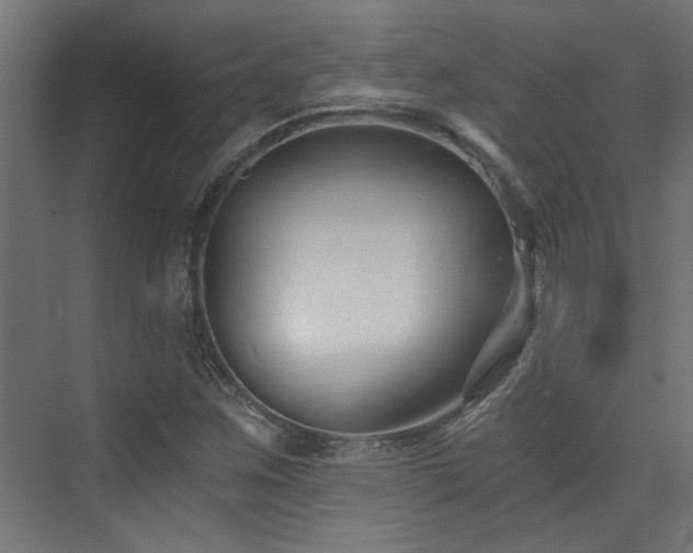 X0000072961259200607211148