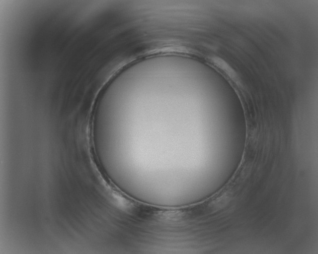 X0000072961282200607211147