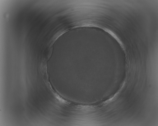 X0000072961289200607211147