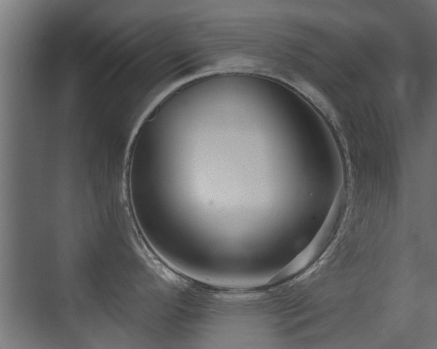 X0000072961296200607211147