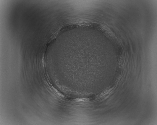 X0000072961298200607211146