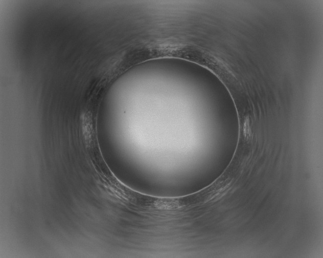 X0000072961299200607211146