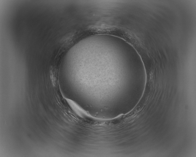 X0000072961300200607211146