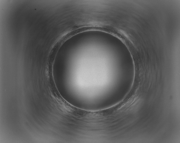X0000072961307200607211147