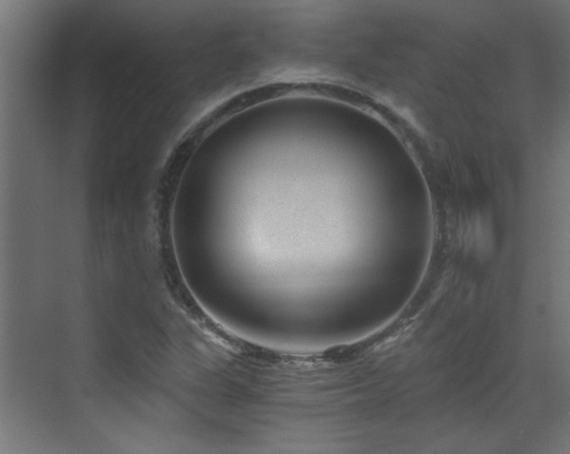 X0000072961311200607211147