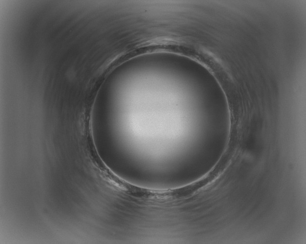 X0000072961313200607211147