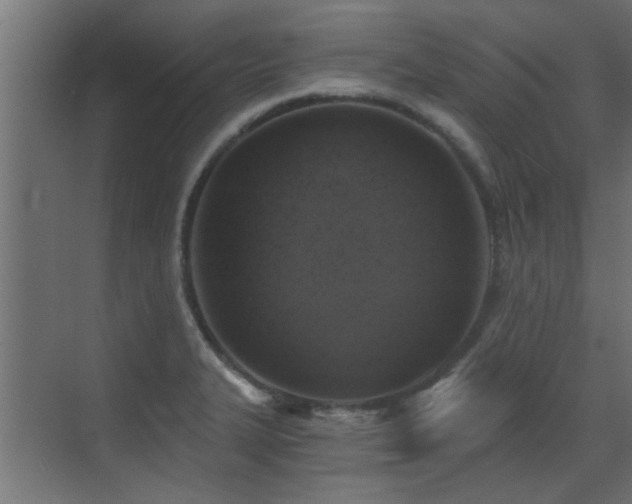 X0000072961327200607211147