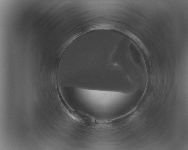 X0000072961337200607211147
