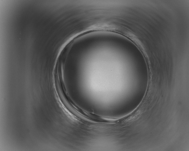 X0000072961344200607211147