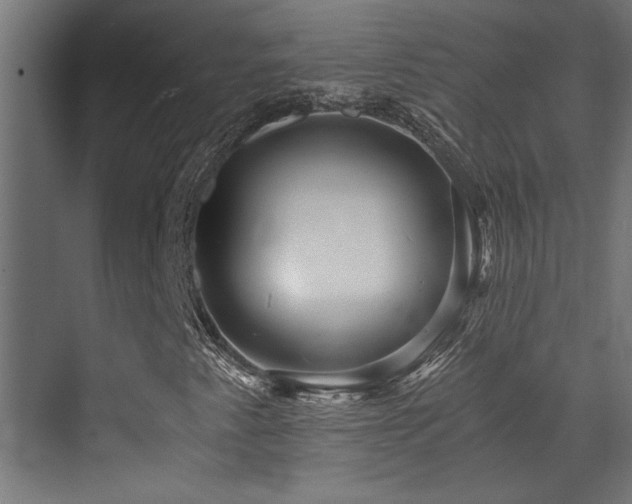 X0000072961345200607211146