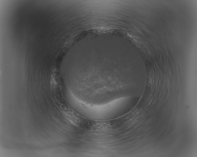 X0000072961346200607211146