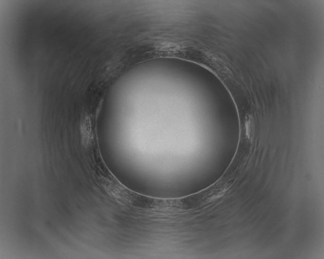 X0000072961347200607211146