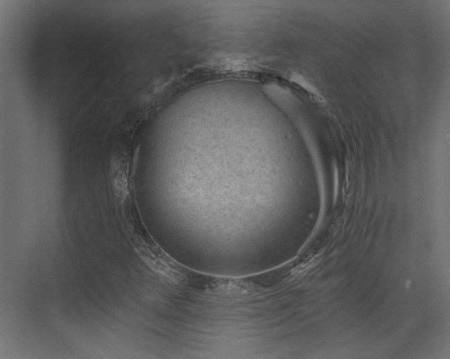 X0000072961348200607211146