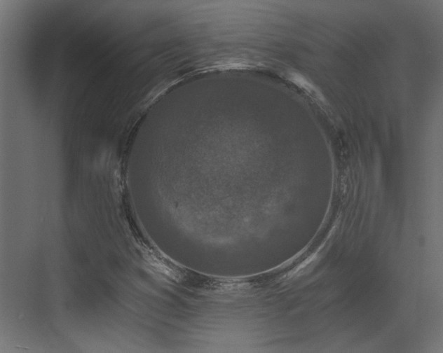 X0000072961353200607211146