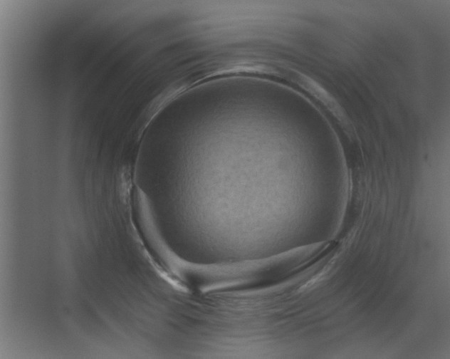 X0000072961377200607211146