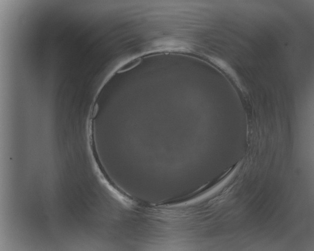 X0000072961383200607211146