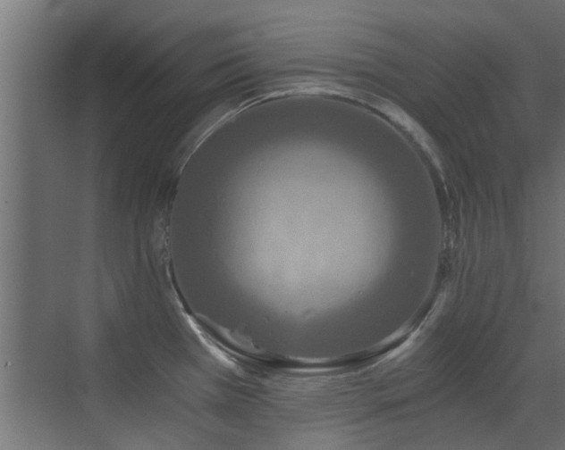 X0000072961385200607211146