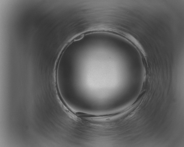 X0000072961388200607211146