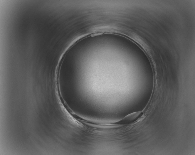 X0000072961392200607211146