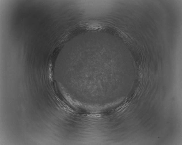 X0000072961394200607211145