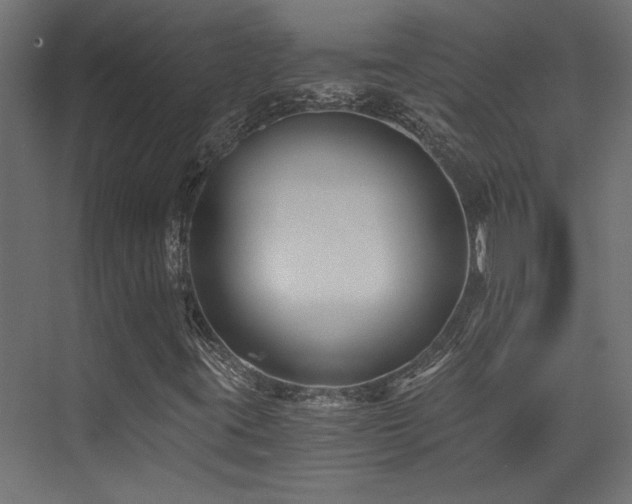 X0000072961395200607211145