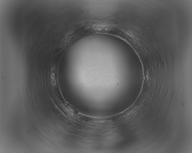 X0000072961396200607211145