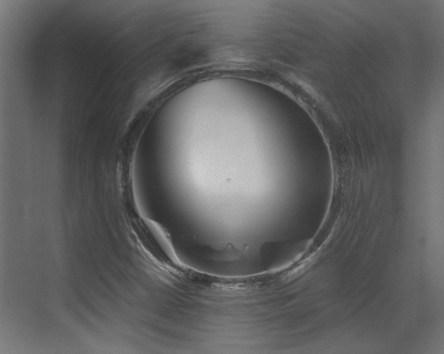 X0000072961402200607211145