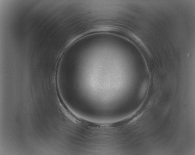 X0000072961417200607211145