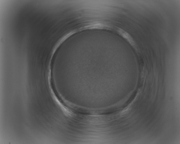 X0000072961418200607211145