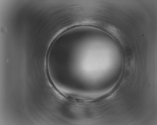 X0000072961420200607211145