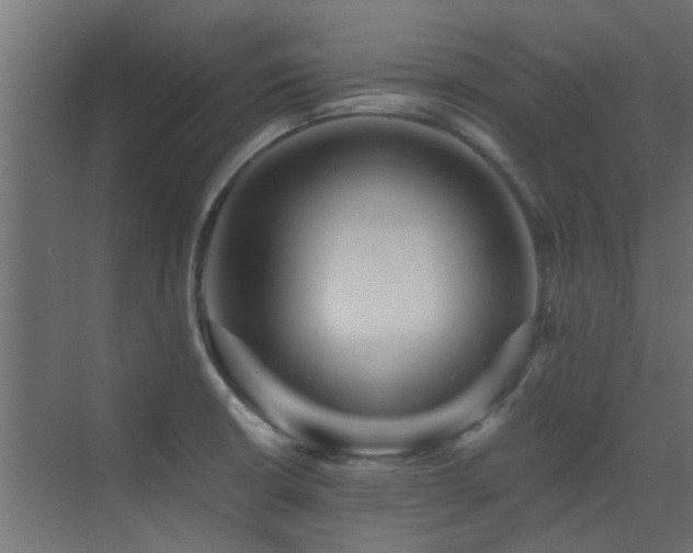 X0000072961426200607211145