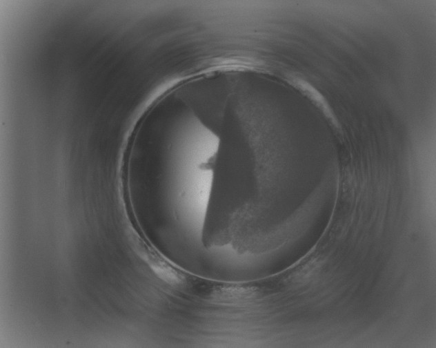 X0000072961427200607211145