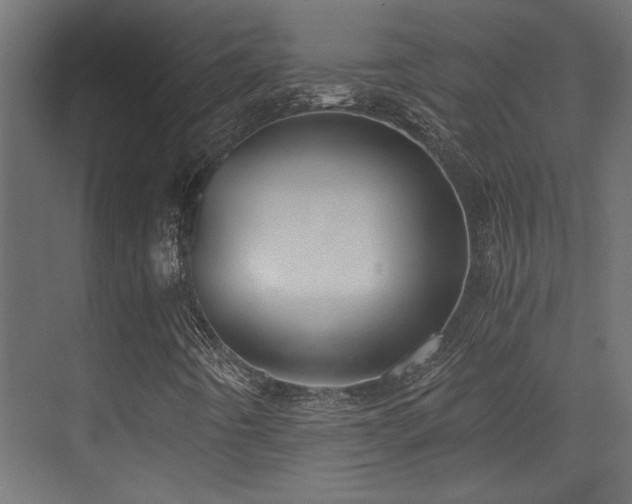 X0000072961442200607211145