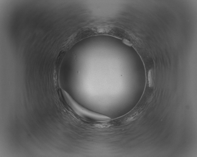 X0000072961443200607211145