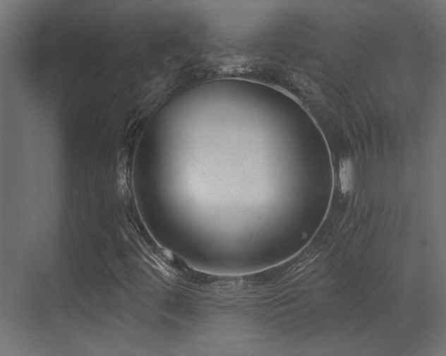 X0000072961444200607211145