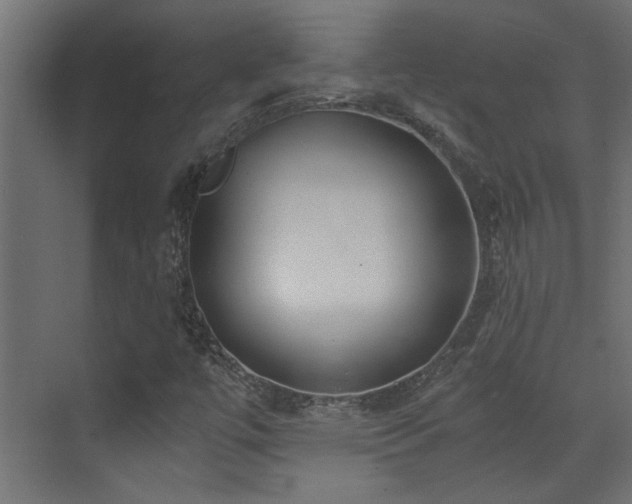 X0000072961447200607211145