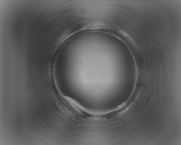 X0000072961457200607211145