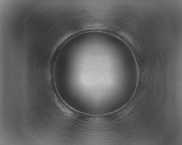 X0000072961458200607211144
