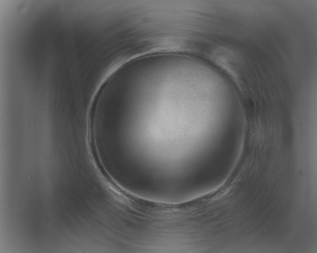 X0000072961467200607211144