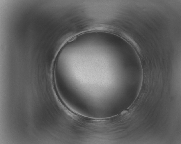 X0000072961483200607211144