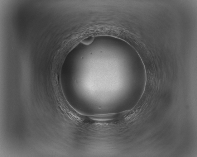 X0000072961489200607211143
