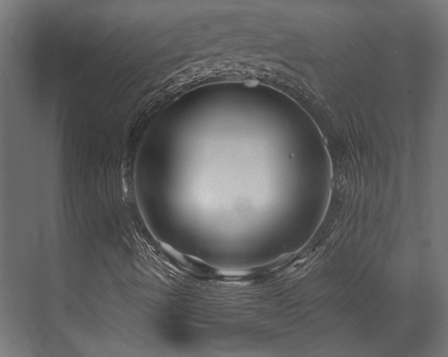 X0000072961490200607211143