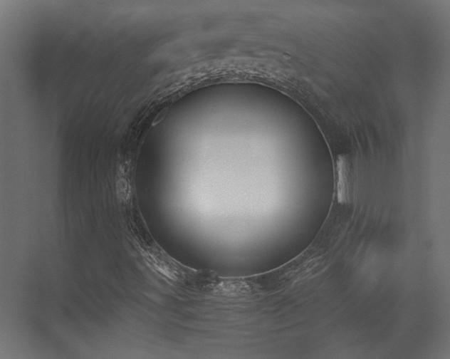X0000072961491200607211143