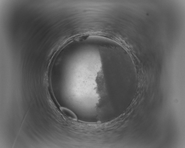 X0000072960002200607282308