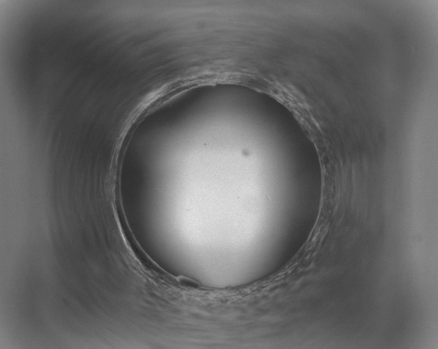 X0000072960003200607282308