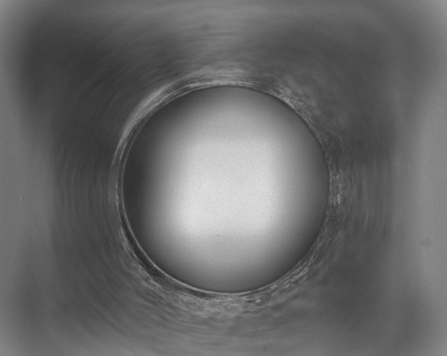 X0000072960004200607282308