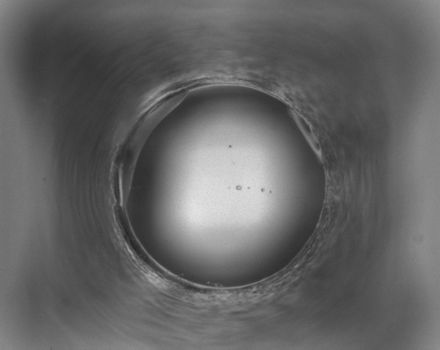 X0000072960005200607282308