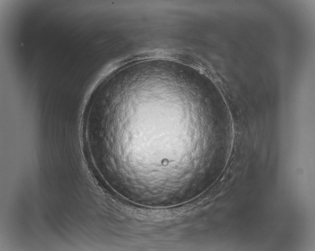 X0000072960006200607282308